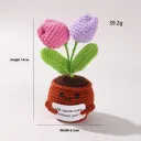 2 Purple Tulips