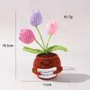 3 Purple Tulips