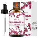 Plum Blossom Essential Oil