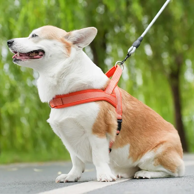 Small Large Dog Reflective Hand Holding Rope