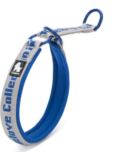 Truelove Pet Dog Collar Traction Diving Fabric Adjustable Reflective Soft Foreign Trade Cross-border - Grey Royal Blue - View 1