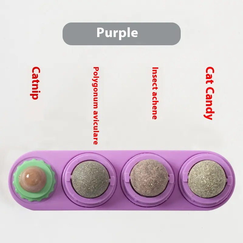 Cat Toy Snacks Molar Long Lasting Pet