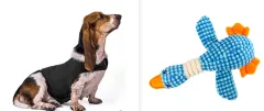 Anxiety Jacket Vest Summer Medical Treatment To Calm Down Cat Clothes Dog Comfort Clothes - Dark Grey Set - View 1