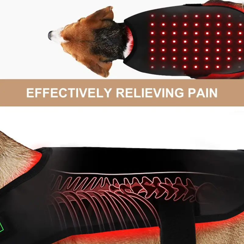 Pet Red Light Infrared Physiotherapy Home Wireless Portable Timing