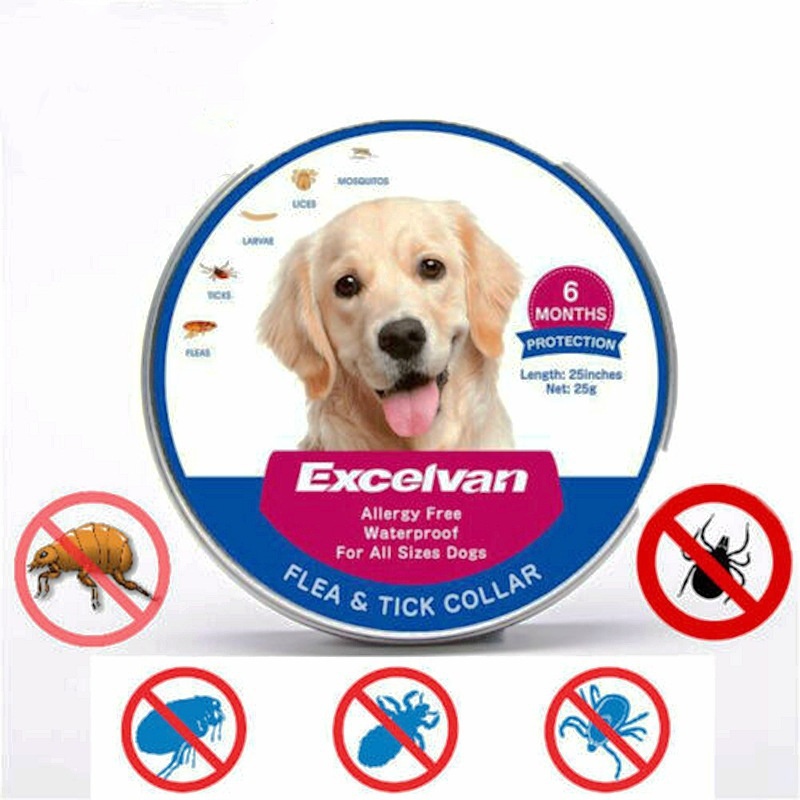 Waterproof Adjustable Insect Repellent Collar Flea Tick Removal