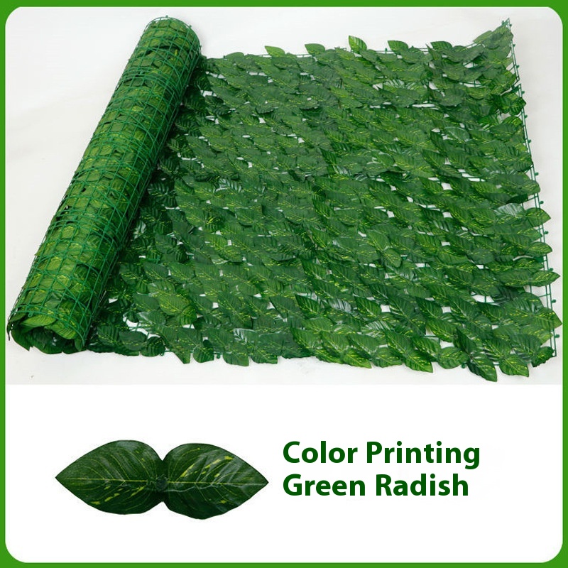 1x 3 M Colorful Green Radish