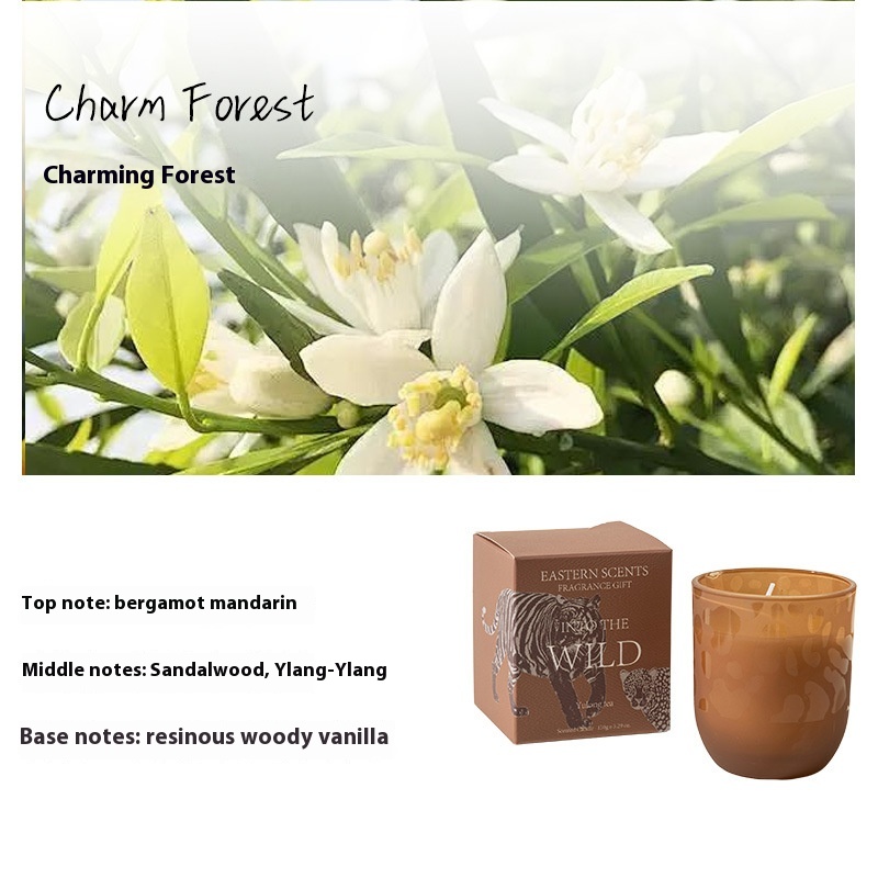 https://oss-cf.cjdropshipping.com/product/2025/04/03/08/6ef1f8c9-e199-4ad0-b42a-da705ed2d362_trans.jpeg