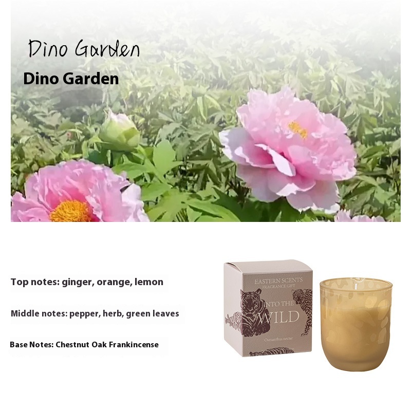 https://oss-cf.cjdropshipping.com/product/2025/04/03/08/a20a8bd3-1cd9-45ec-9dae-28a7a5a992ca_trans.jpeg
