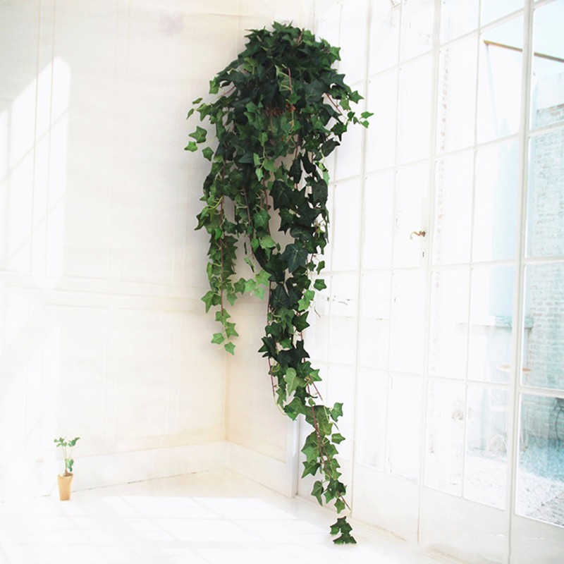 Large Bundle Ivy Scindapsus Aureus Rattan Wall Hanging