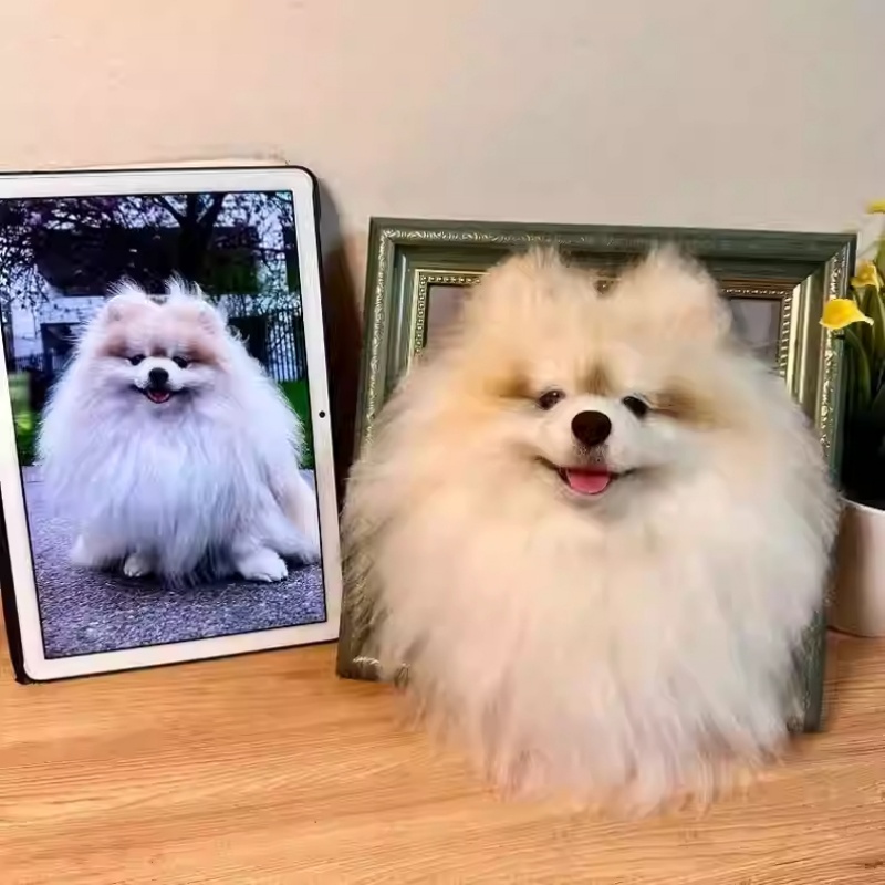 Customized Pet Handmade DIY Wool Felt Souvenir Ornament Picture Frame