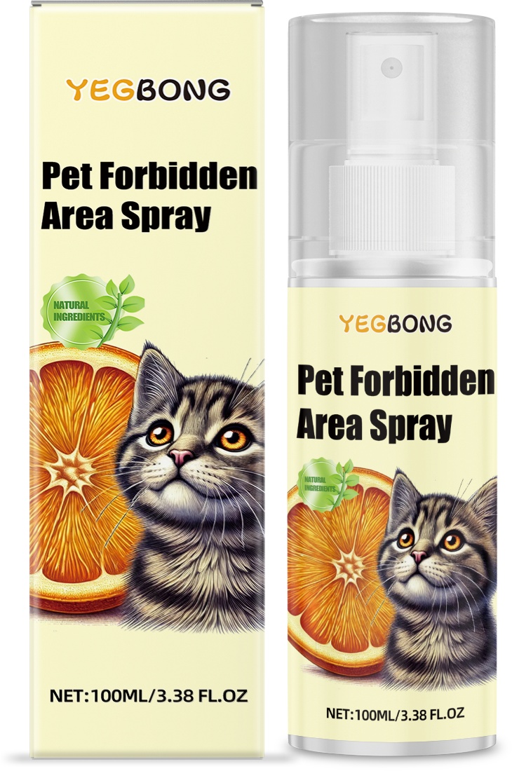 https://oss-cf.cjdropshipping.com/product/2025/04/05/06/bd6522ed-4181-4095-aef9-7ad82ca249cc.jpg