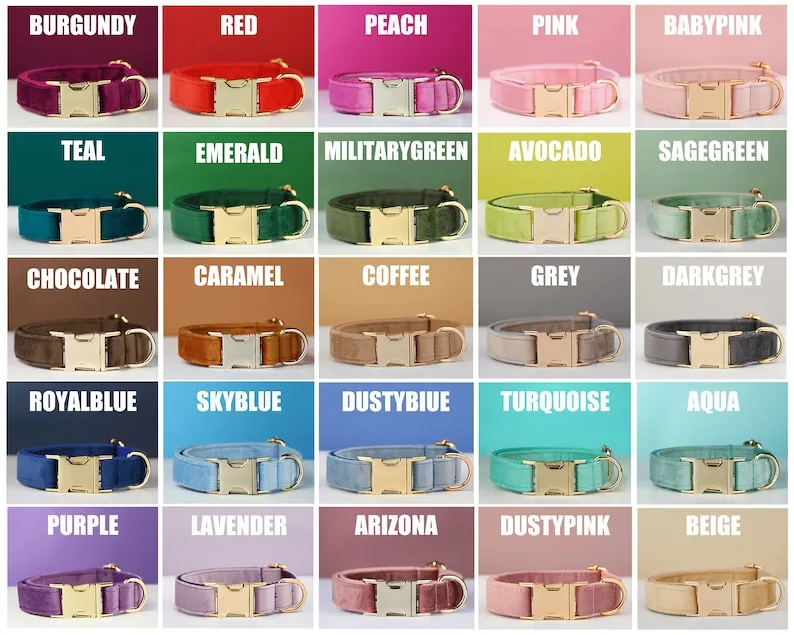Multiple Colour Velvet Personalise Dog Collar Leash Set With Bow - Dog Collar