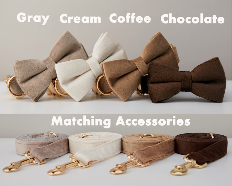 https://oss-cf.cjdropshipping.com/product/2025/04/08/01/2aa8a31d-0ff4-4e9b-aa70-22877dbe7eb9.jpg