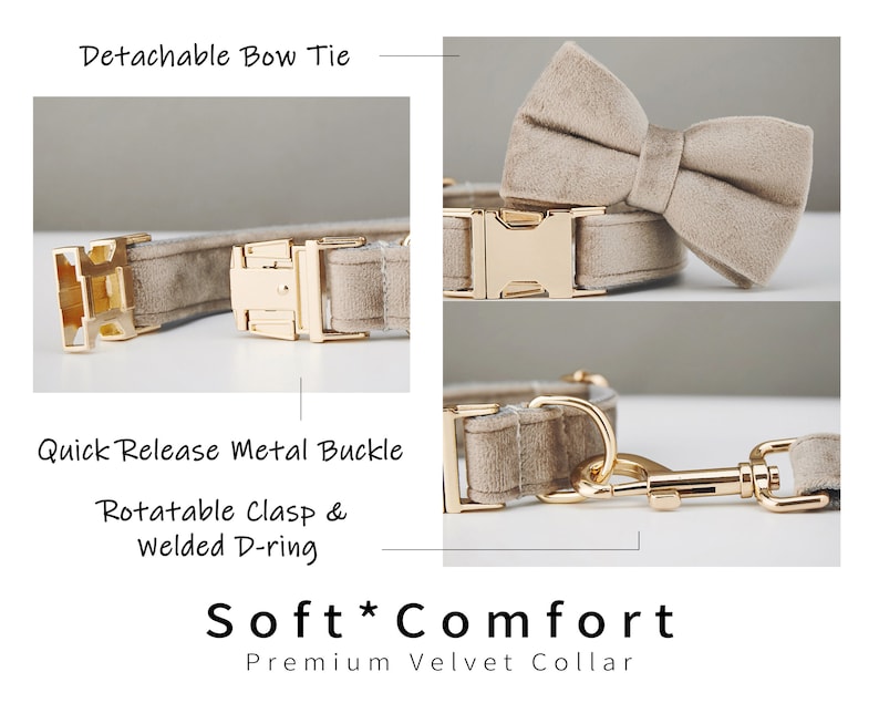 https://oss-cf.cjdropshipping.com/product/2025/04/08/01/e678cbc4-0b16-4781-bd5c-98b776910a89.jpg