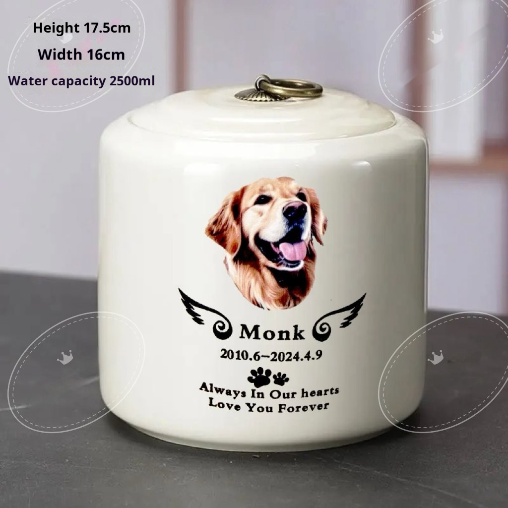 https://oss-cf.cjdropshipping.com/product/2025/04/09/06/7b6efb0e-d69a-4c12-aa6f-44c7c2ce3085_fine.jpeg