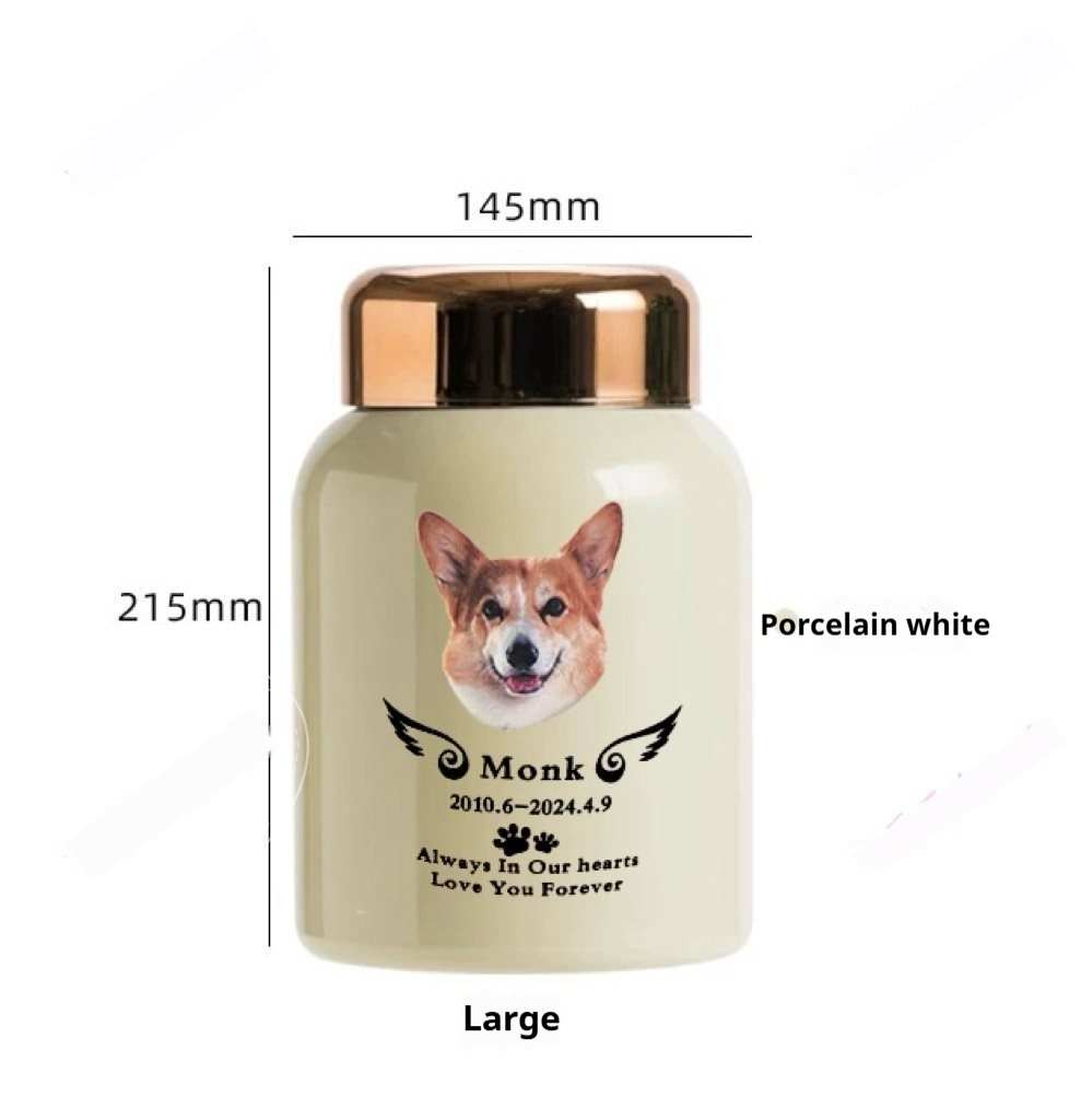 https://oss-cf.cjdropshipping.com/product/2025/04/09/06/cecf8b31-2a5f-4489-b302-cfa25eea244c_fine.jpeg