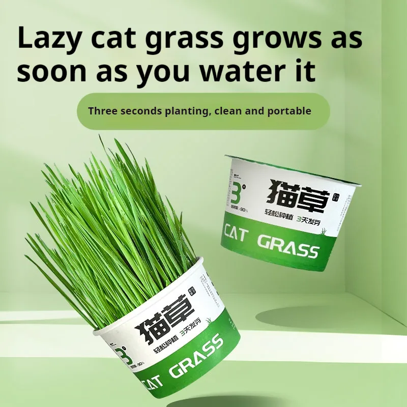 Lazy Cat Grass Canned Hydroponic Soilless Depilation Ball Digestive