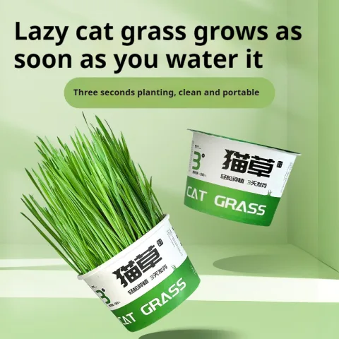 Lazy Cat Grass Canned Hydroponic Soilless Depilation Ball Digestive