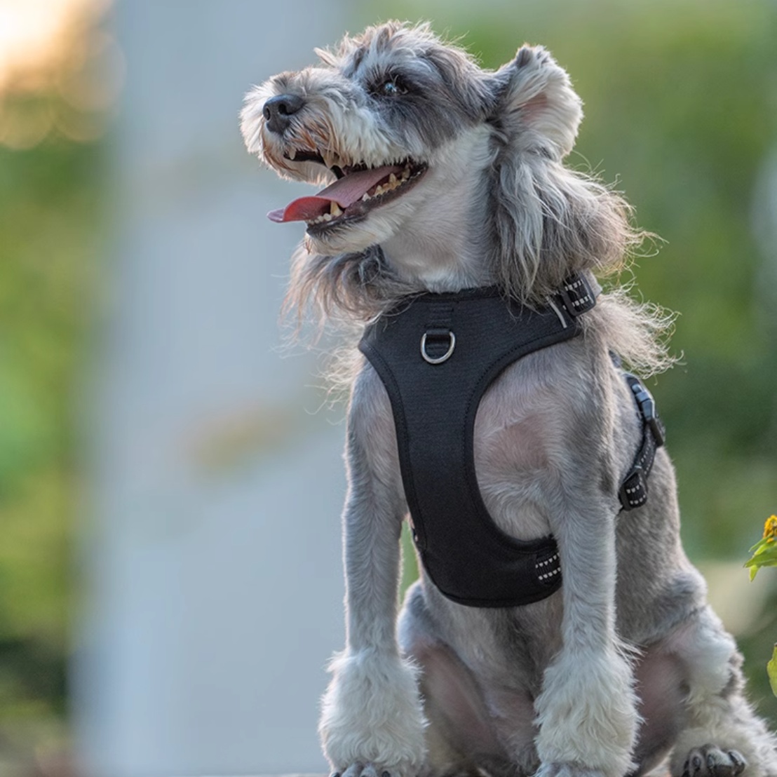 Dog Breast Strap Vest Explosion-proof Pet Hand Holding Rope