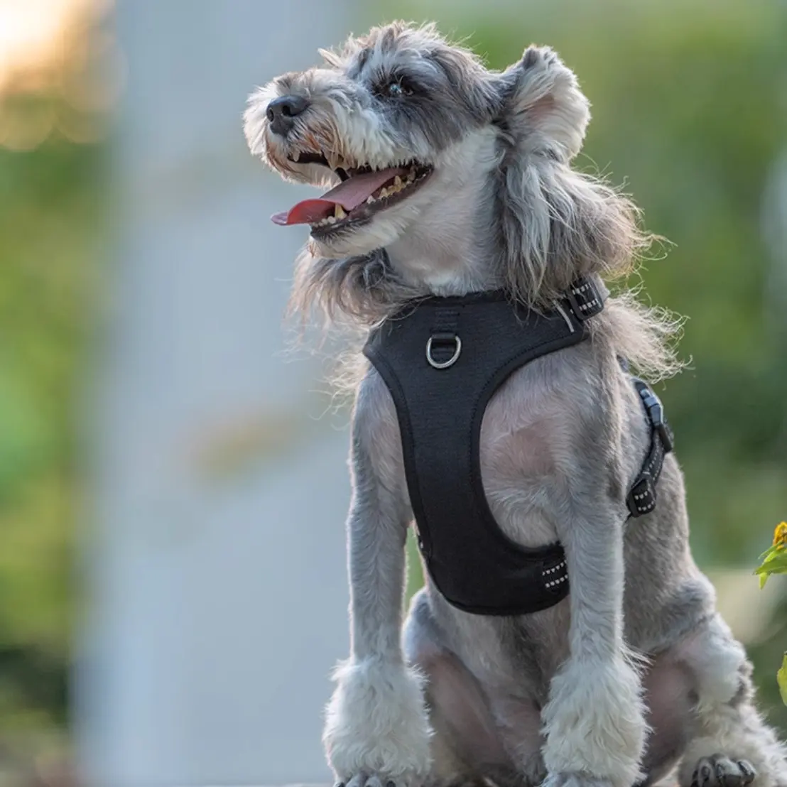 Dog Breast Strap Vest Explosion-proof Pet Hand