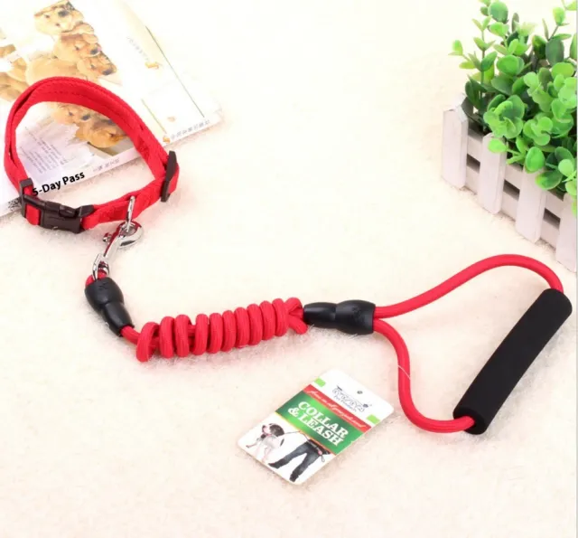 dog chain, dog collar, pet harness rope Red - Shop at LoveMi