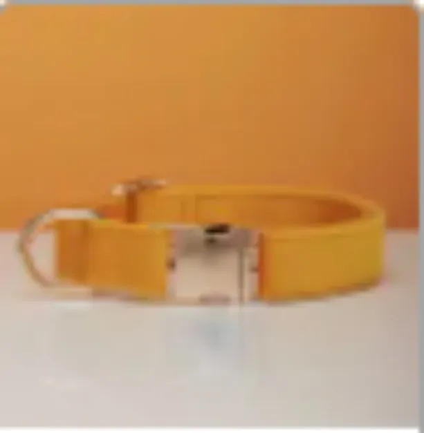 Multiple Colour Velvet Personalise Dog Collar Leash Set With Bow Yellow - Shop at LoveMi
