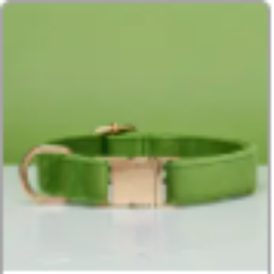 Multiple Colour Velvet Personalise Dog Collar Leash Set With Bow Green - Shop at LoveMi