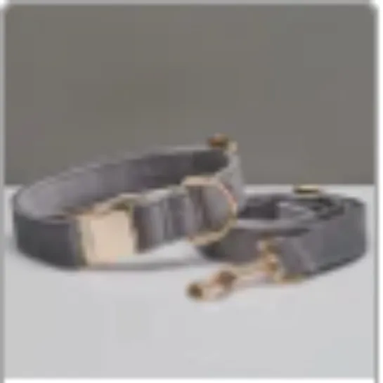 Multiple Colour Velvet Personalise Dog Collar Leash Set With Bow Grey Set - Shop at LoveMi