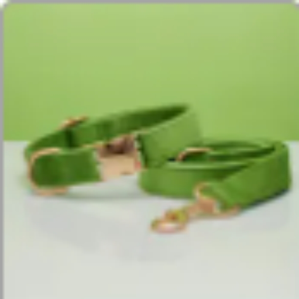 Multiple Colour Velvet Personalise Dog Collar Leash Set With Bow Green Set - Shop at LoveMi
