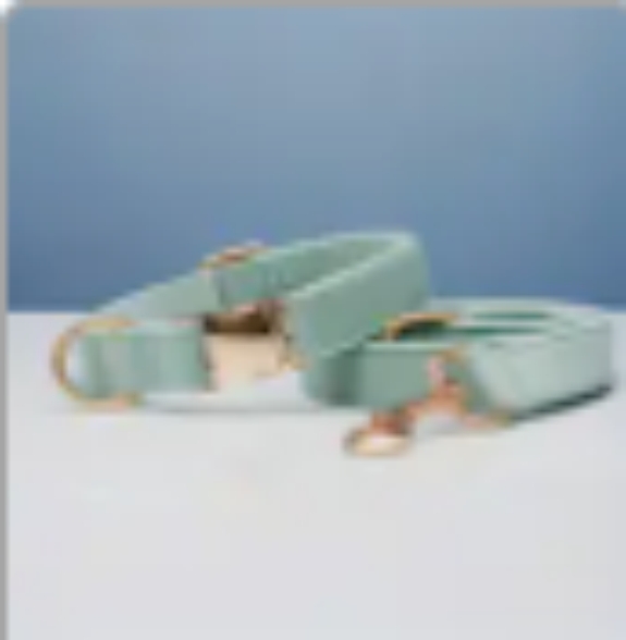 Multiple Colour Velvet Personalise Dog Collar Leash Set With Bow Cyan Set - Shop at LoveMi