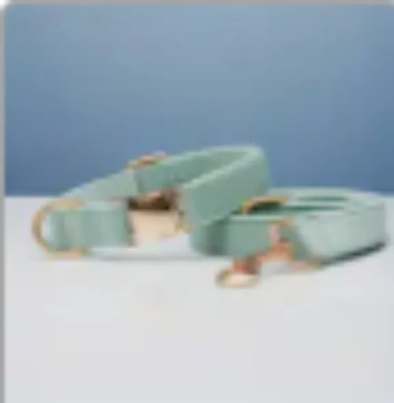 Multiple Colour Velvet Personalise Dog Collar Leash Set With Bow Cyan Set - Shop at LoveMi