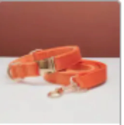 Multiple Colour Velvet Personalise Dog Collar Leash Set With Bow - Orange Set