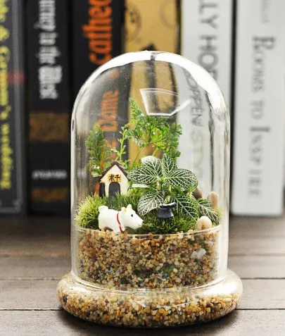 Micro Landscape Moss Bottle Split Landscape Cover Decoration Glass Glass Flower Container Base Glass Cover 10X16Cm - Shop at LoveMi
