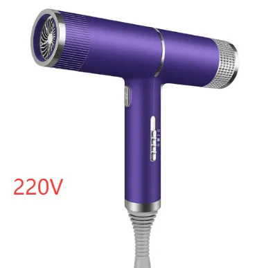 New Concept Hair Dryer Household Hair Dryer Purple - Shop at LoveMi