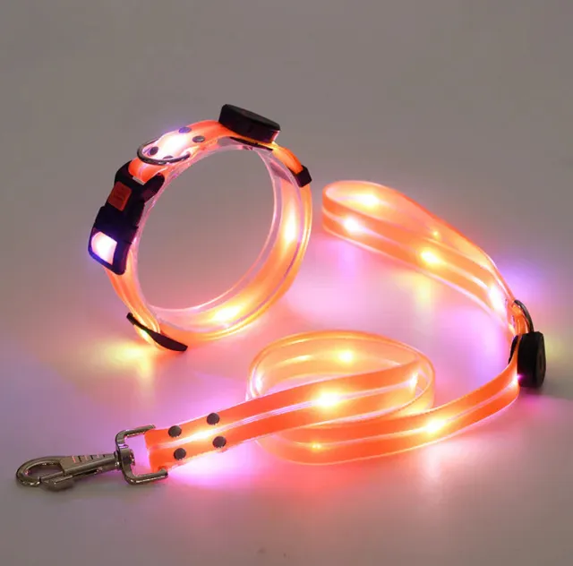 LED Luminous Collar Rechargeable Pet Collar Nylon Tow Rope Orange Set - Shop at LoveMi