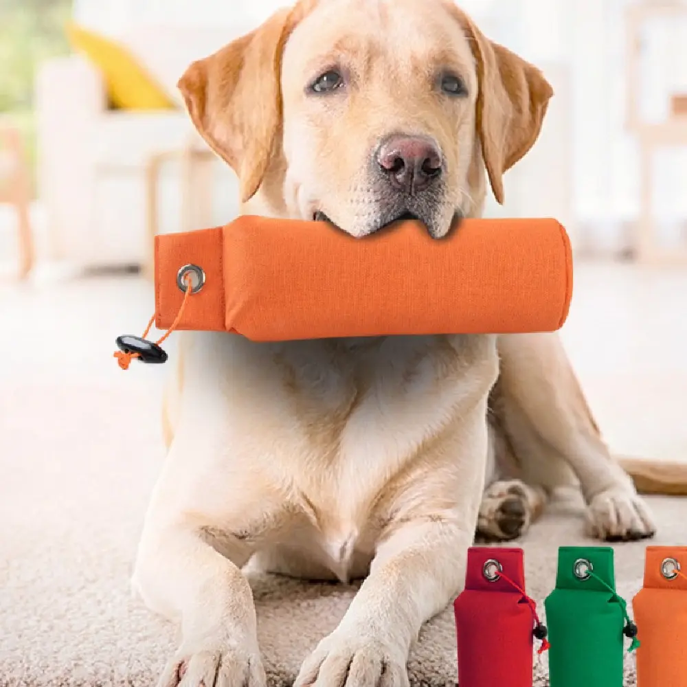 Fashion Personalized Decompression Dog Toy