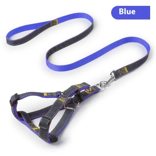 Pipitao Dog Leash Pet Supplies Blue A Set - Shop at LoveMi