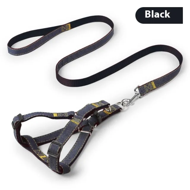 Pipitao Dog Leash Pet Supplies Black A Set - Shop at LoveMi