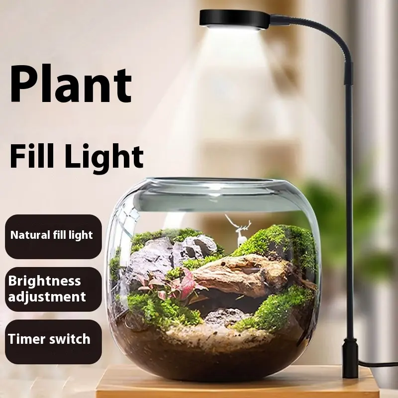 Led Micro Landscape Fish Tank Plant Four