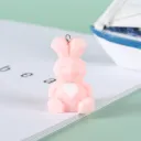 Pink Rabbit