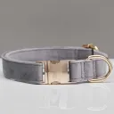 Single Circle Light Gray