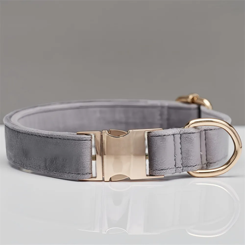 Mint Green Dog Collar Leash - Single Circle Light Grey