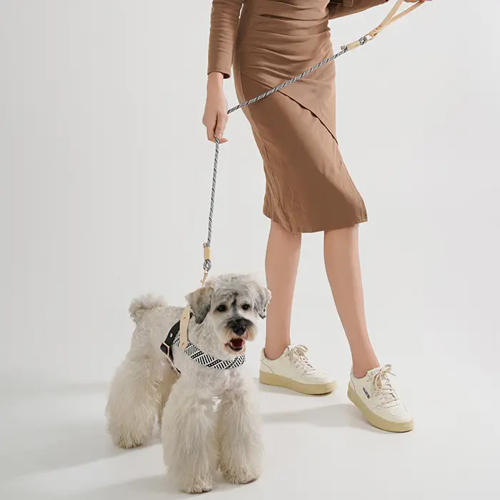 Dog Hand Holding Rope Pet Harness Chain