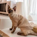 Brown Sweater