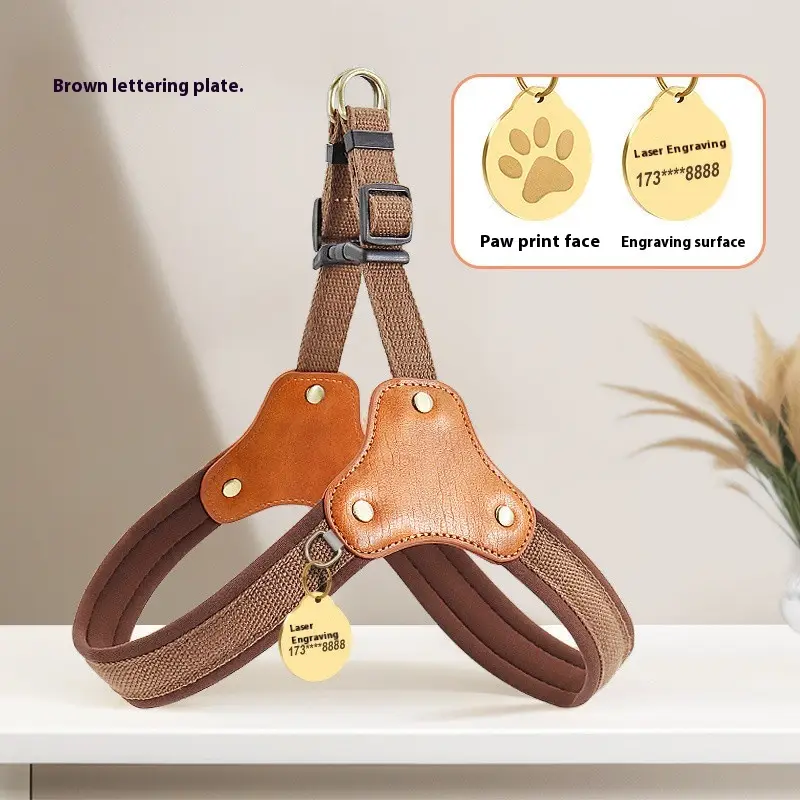 Leash Chest And Back Small Dog