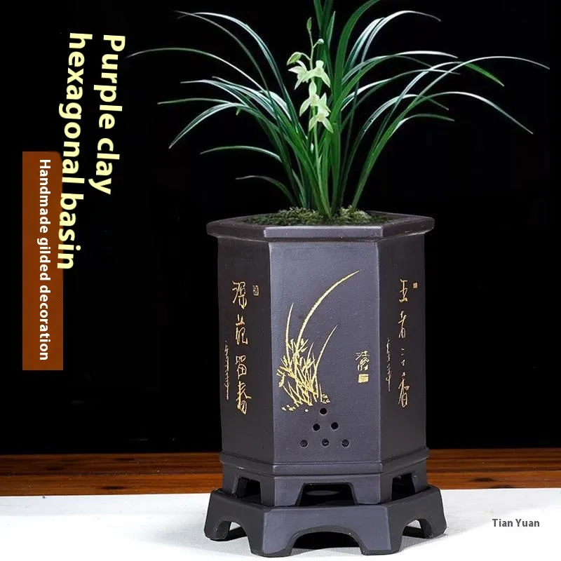 High Hexagonal Asparagus Fern Bonsai Basin With Tray
