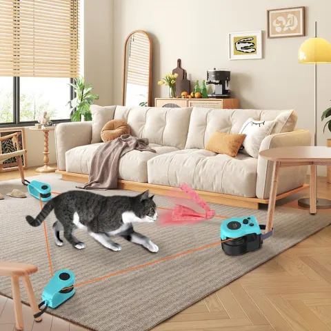 Cat Weight Loss Remote Control Sound Toy