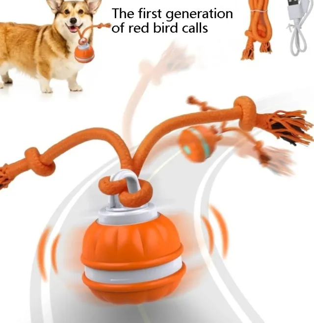 Pet Intelligent Rolling Ball Rolling Ball Electric Dog Bite resistant Dog Ball 1Generationred Bird Calls - Shop at LoveMi