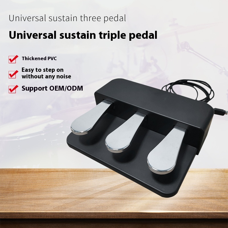 Electronic Keyboard Pedal Universal Sustain