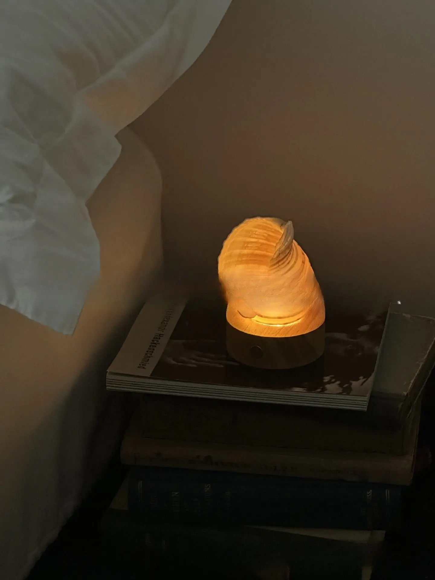 Creative Natural Conch Decoration Gift Small Night Lamp